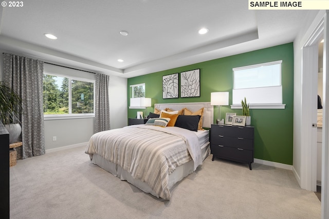 carpeted bedroom featuring a raised ceiling