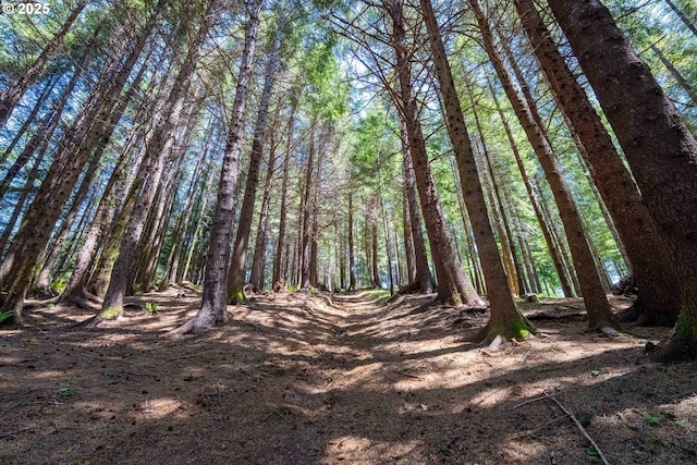 Bridgeview Dr, Brookings, OR 97415
