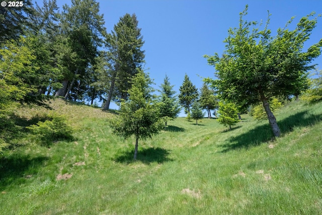 Bridgeview Dr, Brookings, OR 97415