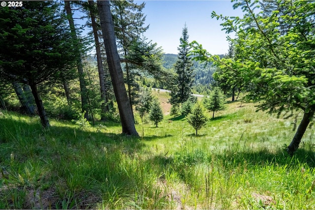 Bridgeview Dr, Brookings, OR 97415