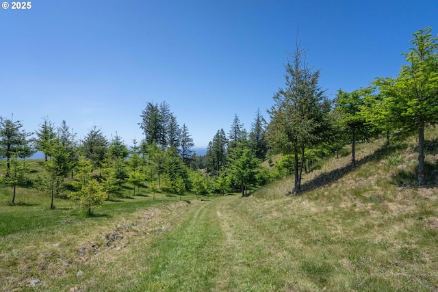 Bridgeview Dr, Brookings, OR 97415
