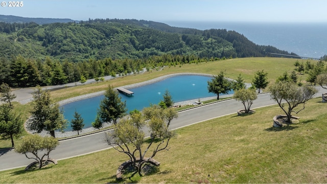 Bridgeview Dr, Brookings, OR 97415