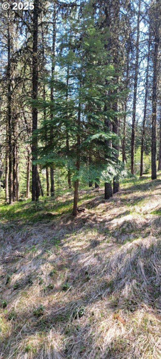 Chief Joseph Loop Rd, Joseph, OR 97846