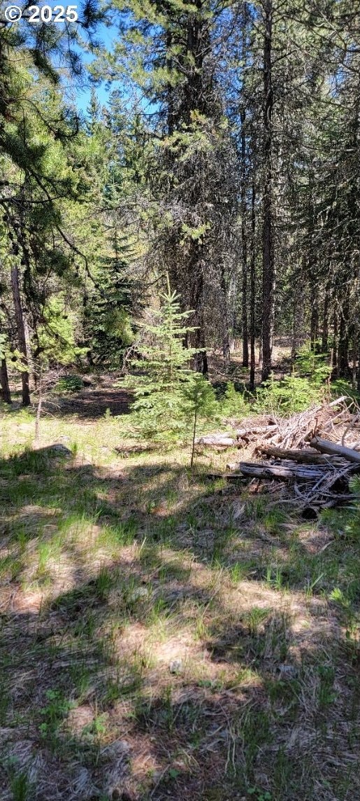 Chief Joseph Loop Rd, Joseph, OR 97846