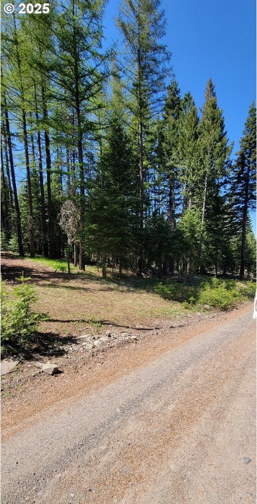 Chief Joseph Loop Rd, Joseph, OR 97846