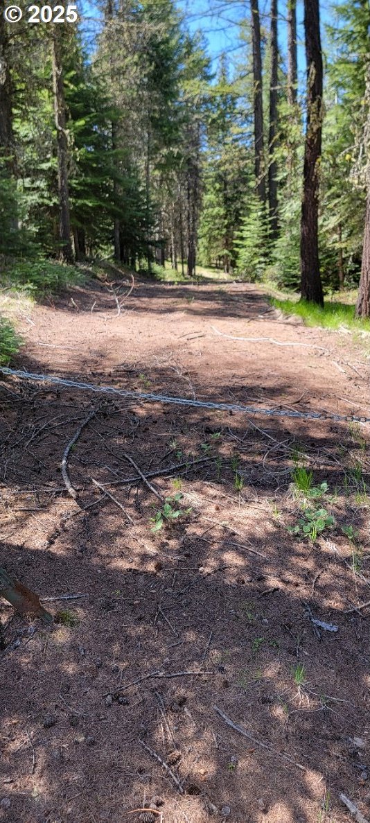 Chief Joseph Loop Rd, Joseph, OR 97846