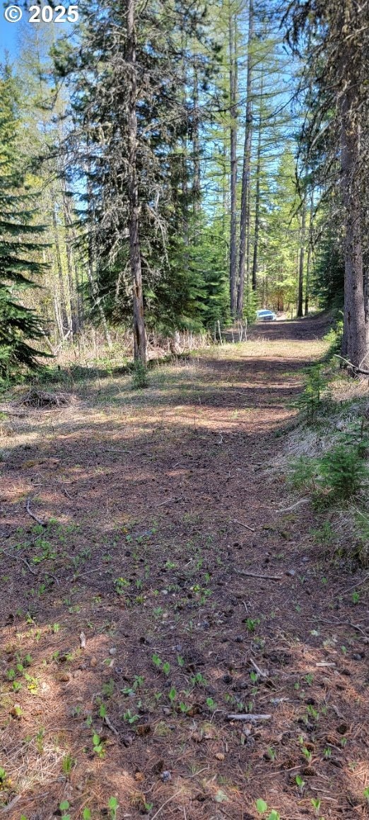 Chief Joseph Loop Rd, Joseph, OR 97846