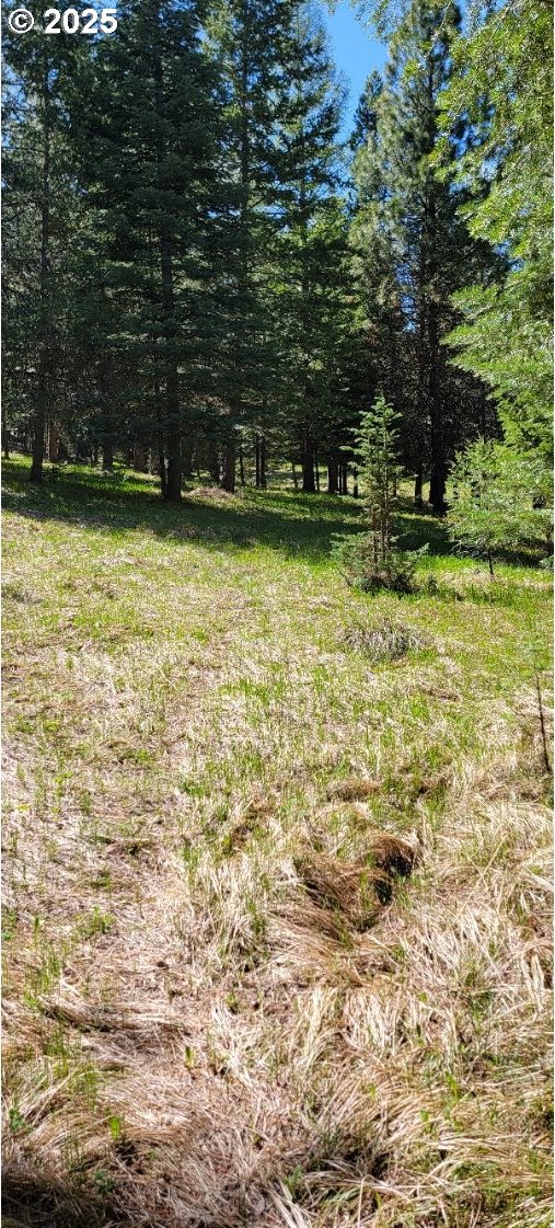 Chief Joseph Loop Rd, Joseph, OR 97846