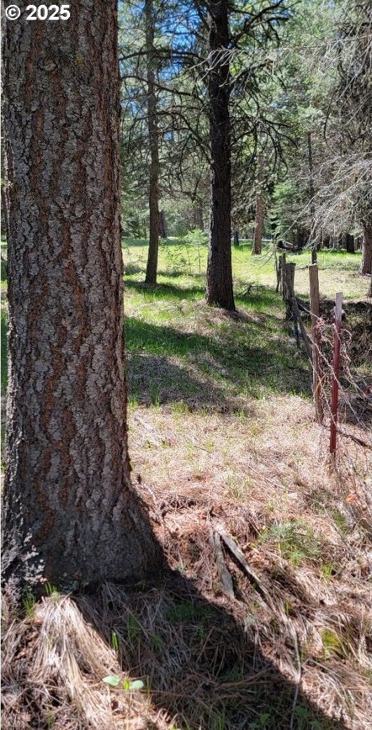 Chief Joseph Loop Rd, Joseph, OR 97846