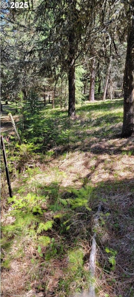 Chief Joseph Loop Rd, Joseph, OR 97846