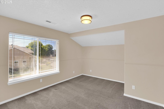 additional living space with carpet floors, baseboards, lofted ceiling, and a textured ceiling