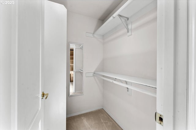 16605 SW Sumac St, Beaverton, OR 97007 - walk in closet with light colored carpet
