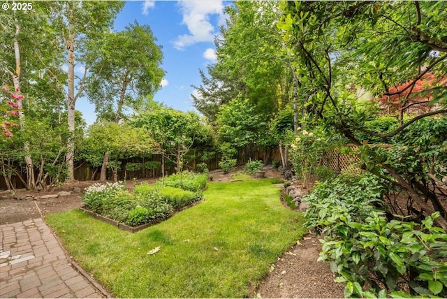 16605 SW Sumac St, Beaverton, OR 97007 - view of yard