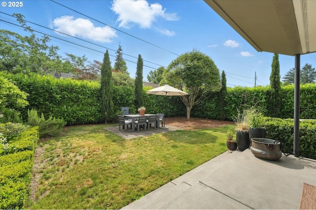 7338 N Chase Ave, Portland, OR 97217 - view of grassy yard with a patio area