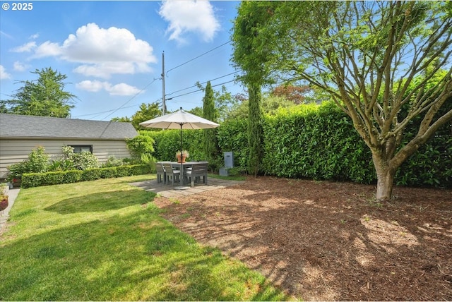 7338 N Chase Ave, Portland, OR 97217 - view of grassy yard featuring a patio area