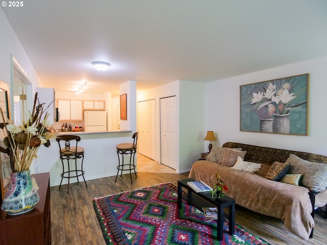 living area featuring wood finished floors