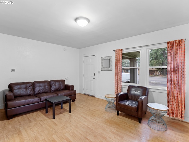 living room featuring light wood-type flooring