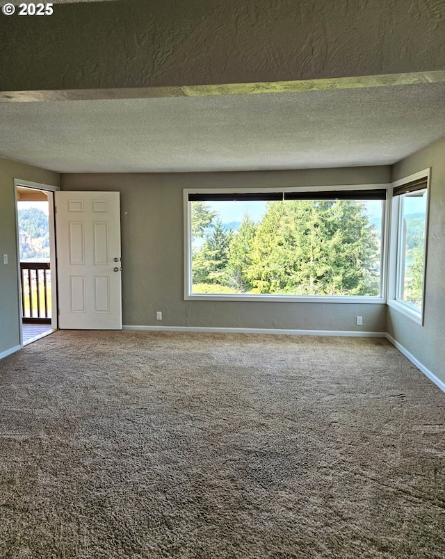 625 Crestview Dr, Reedsport, OR 97467 - unfurnished room featuring plenty of natural light, carpet, baseboards, and a textured ceiling