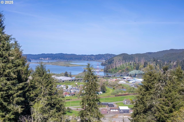 625 Crestview Dr, Reedsport, OR 97467 - water view with a forest and mountains