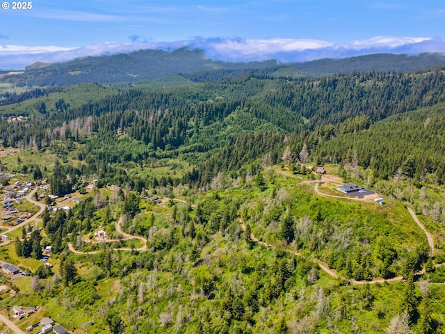 1091 N Echo Mountain Rd, Otis, OR 97368 - aerial view of property and surrounding area with mountains