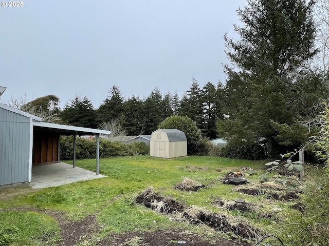 view of yard featuring a storage shed