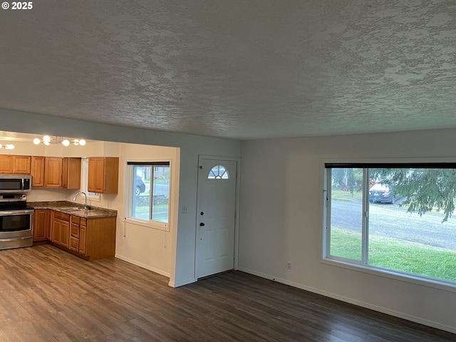 kitchen with sink, dark hardwood / wood-style floors, a textured ceiling, and appliances with stainless steel finishes