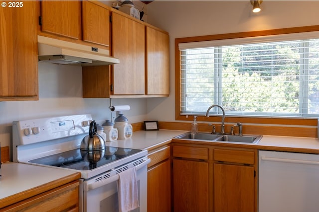 26750 David Ave, Rockaway Beach, OR 97136 - kitchen with white appliances, under cabinet range hood, a sink, light countertops, and plenty of natural light