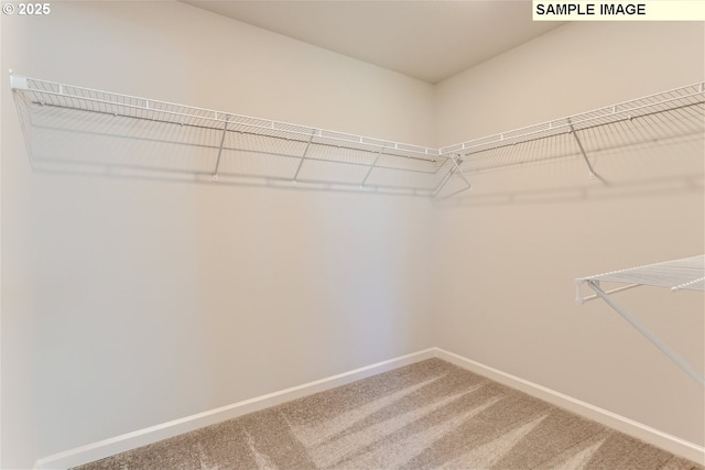 spacious closet featuring light carpet
