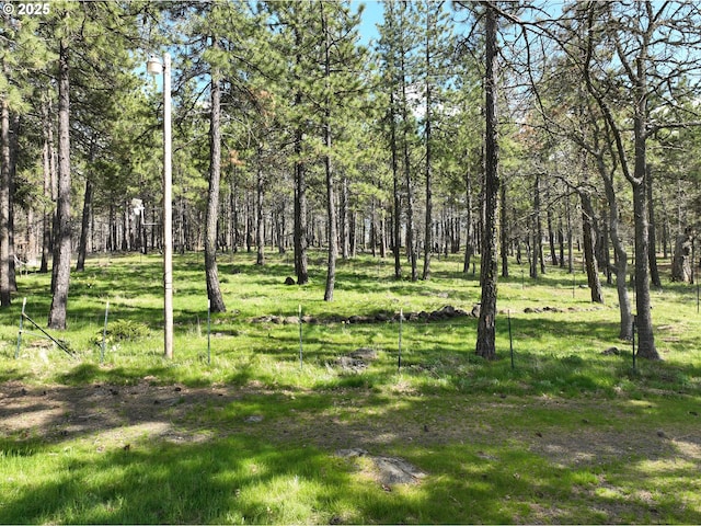 87 Adams Loop Rd, Goldendale, WA 98620 - view of landscape
