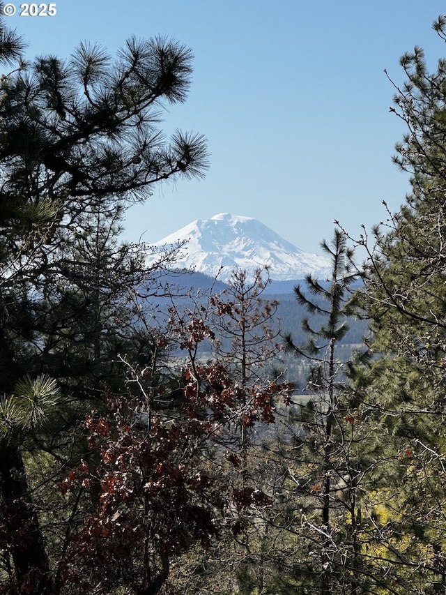 87 Adams Loop Rd, Goldendale, WA 98620 - view of mountain feature