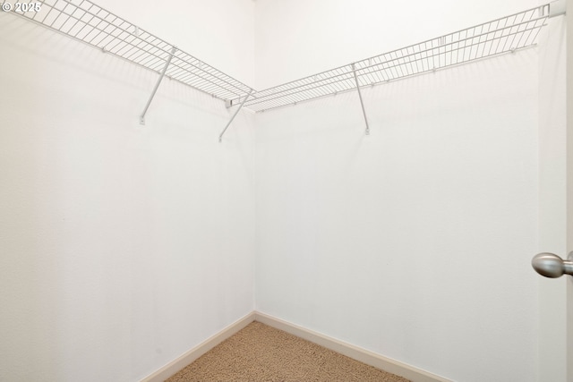 11830 NW Holly Springs Ln Unit 406, Portland, OR 97229 - walk in closet with light carpet