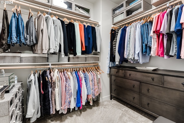view of spacious closet