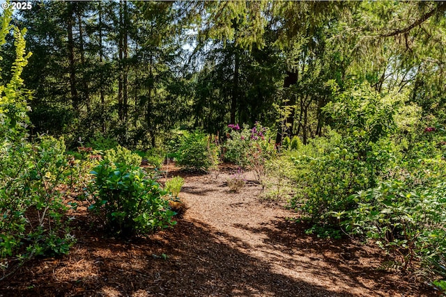 view of wooded area
