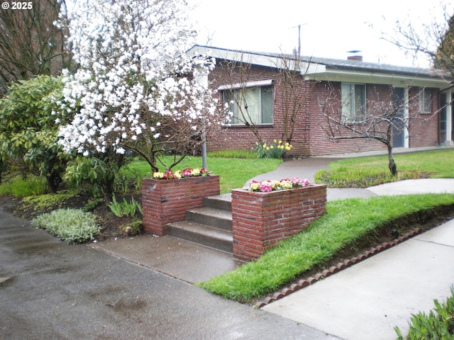 view of front of property featuring a front lawn