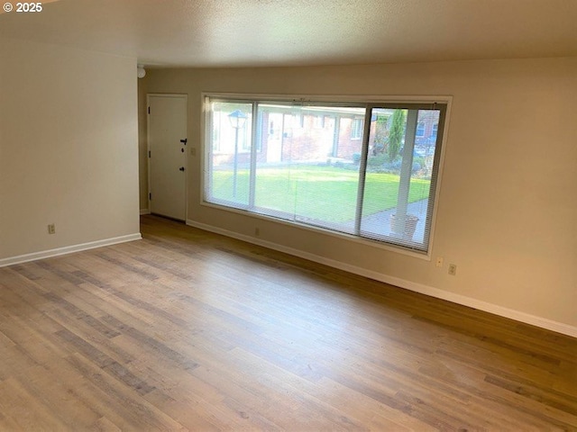 spare room featuring wood-type flooring and a healthy amount of sunlight