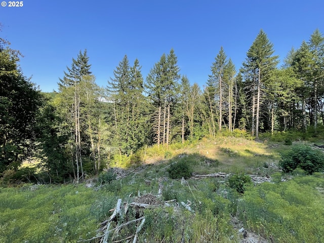 Listing photo 3 for SW Pumpkinseed Rd, Willamina OR 97396