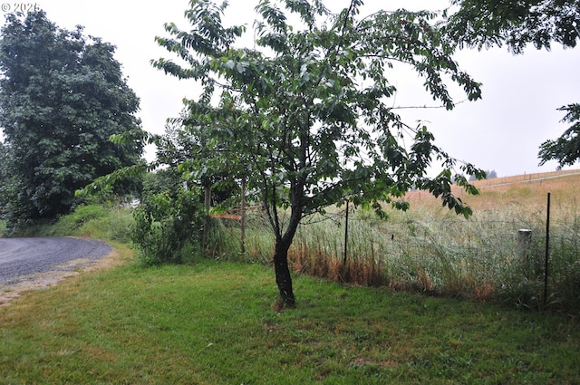 61021 Landreth Ln, Saint Helens, OR 97051 - view of grassy yard