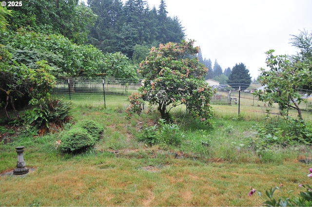 61021 Landreth Ln, Saint Helens, OR 97051 - view of yard