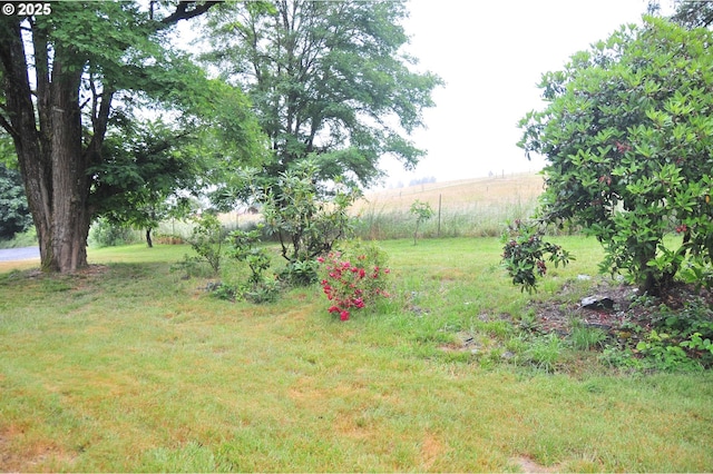 61021 Landreth Ln, Saint Helens, OR 97051 - view of green lawn featuring a rural view