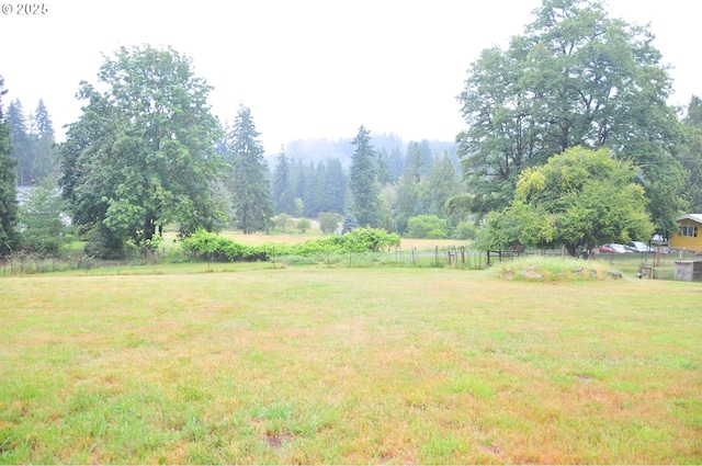 61021 Landreth Ln, Saint Helens, OR 97051 - view of yard