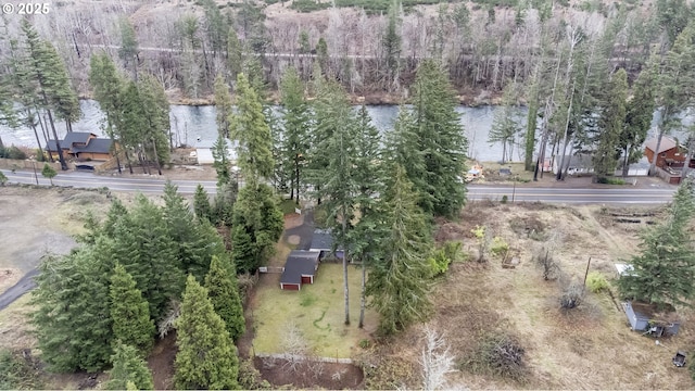 49855 Mckenzie Hwy, Vida, OR 97488 - bird's eye view of a nearby body of water