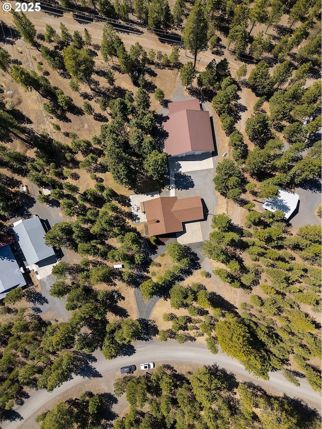 bird's eye view
