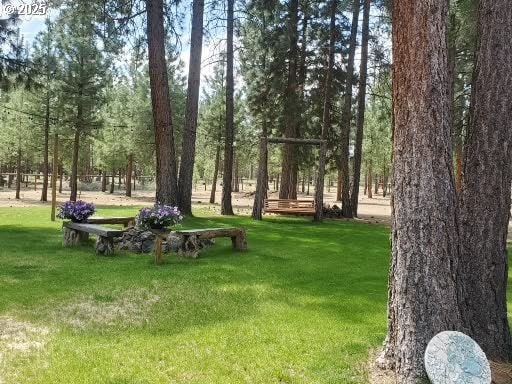 view of home's community with a lawn