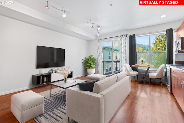 living room with a healthy amount of sunlight and light wood-type flooring