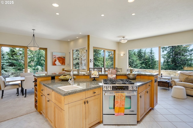 kitchen with a sink, plenty of natural light, recessed lighting, and gas range