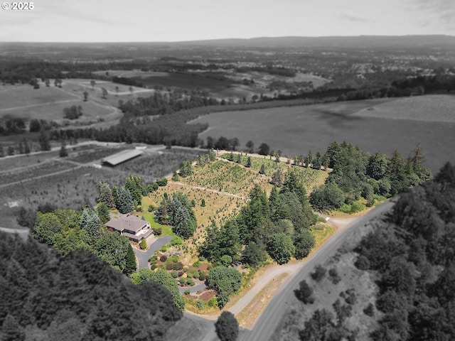 bird's eye view