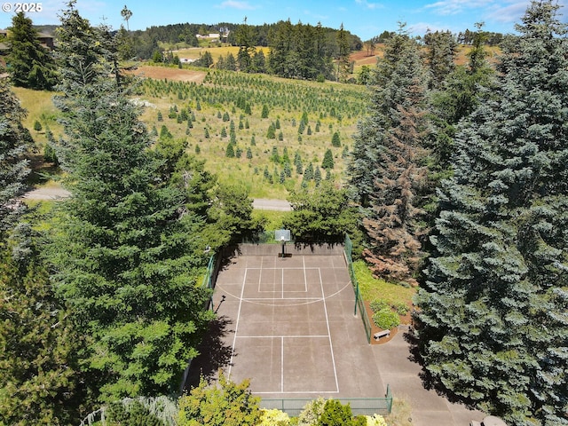aerial view