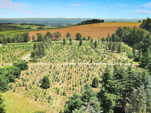 bird's eye view with a rural view