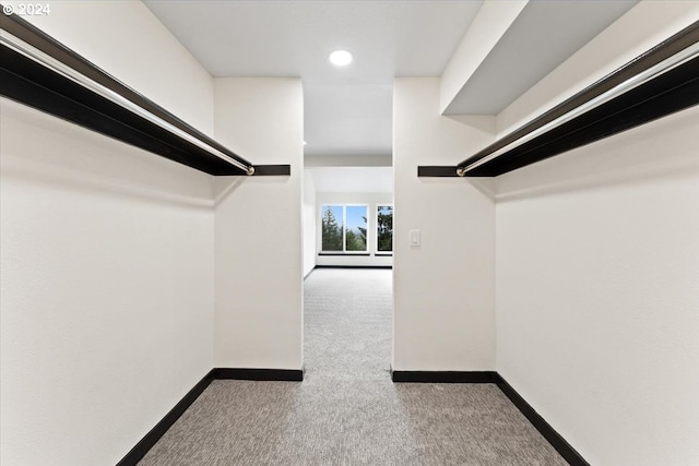 spacious closet featuring light colored carpet