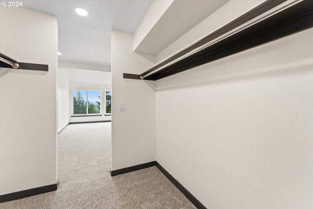 spacious closet with light colored carpet